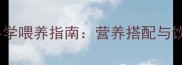 1岁泰迪科学喂养指南营养搭配与饮食禁忌全