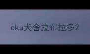 cku犬舍拉布拉多