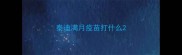 泰迪满月疫苗打什么
