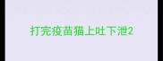 打完疫苗猫上吐下泄