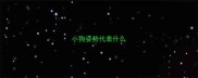 小狗姿势代表什么