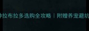 血统纯种拉布拉多选购全攻略附赠养宠避坑指南