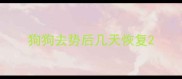 狗狗去势后几天恢复