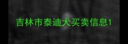 吉林市泰迪犬买卖信息