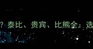 泰迪犬哪个品种最好泰比贵宾比熊全选对犬种省心养宠指南
