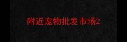 附近宠物批发市场
