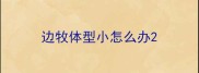 边牧体型小怎么办
