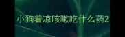 小狗着凉咳嗽吃什么药