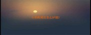 小狗断尾后怎么护理