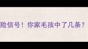 狗狗打架的10个危险信号你家毛孩中了几条附科学应对指南