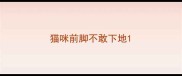 猫咪前脚不敢下地