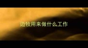 边牧用来做什么工作