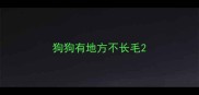 狗狗有地方不长毛