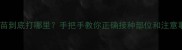 狗狗疫苗到底打哪里手把手教你正确接种部位和注意事项