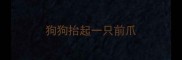 狗狗抬起一只前爪