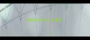 狗狗疫苗在什么位置打