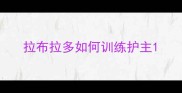 拉布拉多如何训练护主