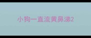 小狗一直流黄鼻涕