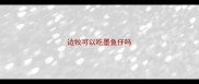 边牧可以吃墨鱼仔吗