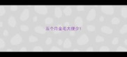 五个月金毛大便少