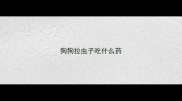 狗狗拉虫子吃什么药