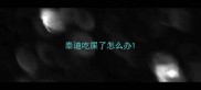 泰迪吃屎了怎么办