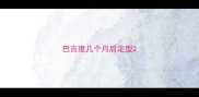 巴吉度几个月后定型