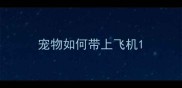 宠物如何带上飞机