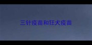 三针疫苗和狂犬疫苗