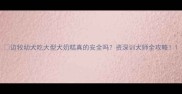 边牧幼犬吃大型犬奶糕真的安全吗资深训犬师全攻略