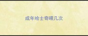 成年哈士奇喂几次