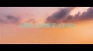 小狗什么时候可以补钙