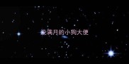 没满月的小狗大便