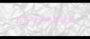 拉布拉多串串幼犬