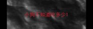 小狗不知道吃多少
