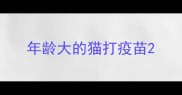 年龄大的猫打疫苗