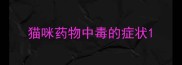 猫咪药物中毒的症状