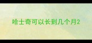 哈士奇可以长到几个月