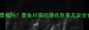 猫咪能吃墨鱼吗墨鱼对猫的潜在危害及安全食用指南