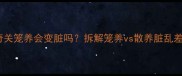 哈士奇关笼养会变脏吗拆解笼养vs散养脏乱差真相