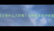 哈士奇什么火好看全网最全养护指南