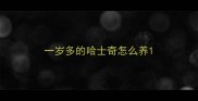 一岁多的哈士奇怎么养
