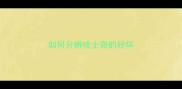 如何分辨哈士奇的好坏