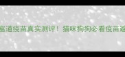 美国富道疫苗真实测评猫咪狗狗必看疫苗避坑指南