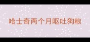 哈士奇两个月呕吐狗粮