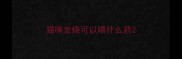 猫咪发烧可以喂什么药