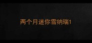 两个月迷你雪纳瑞