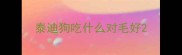 泰迪狗吃什么对毛好
