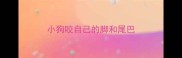 小狗咬自己的脚和尾巴