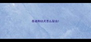 泰迪狗幼犬怎么驱虫